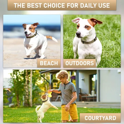Vista 7 de Biothane - Collar de perro con hebilla de cobra, fabricado en Estados Unidos, etiqueta de identificación con código QR incluida, collares de perro