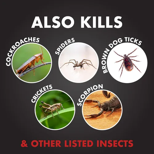 Vista 4 de Spectracide Insecticida en aerosol Ant Shield de 15 oz