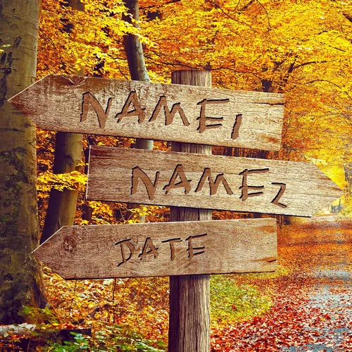 Vista 2 de Bosque Otoñal Foto o Impresiones en Lienzo Personalizadas Únicas con Nombres de la Pareja y Fecha Especial en Letrero, Regalo Perfecto