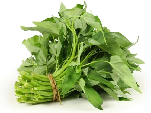 Vista 7 de 2000 semillas de Kangkong para plantar - Variedad de semillas de Rau Muong Vietnam - Kong Xin CAI Ong Choy vegetal asiático para cultivo de jardines