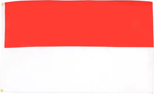 Vista 32 de AZ FLAG Bandera de Afganistán 2' x 3' - Banderas afganas 23.6 x 35.4 in - Banner 2x3 ft