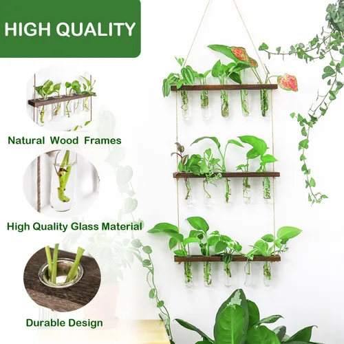 Vista 6 de Estación de propagación, terrario de plantas, regalos para amantes de las plantas para mujeres, soporte para cortar plantas, decoración del hogar