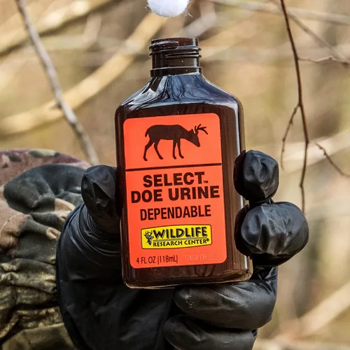 Vista 2 de Wildlife Research atrayente de venado 4 onzas líquidas
