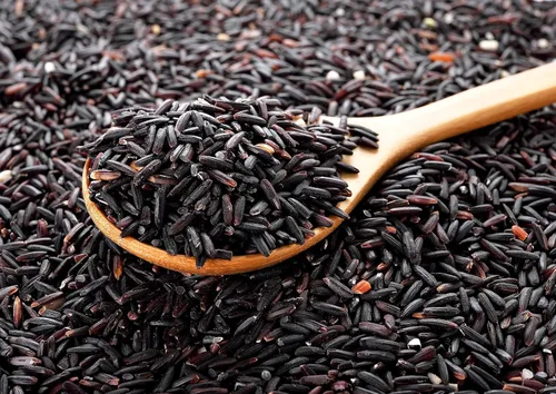 Vista 4 de Food to Live Arroz negro, 1.5 libras de grano entero, arroz de grano medio, kosher, vegano. Sabor a nuez y dulce. Rico en antioxidantes y fibra