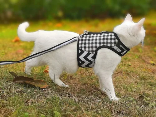Vista 3 de Arnés de gato con correa, ajustable para gatos, chaleco acolchado para gatos, Black Plaid