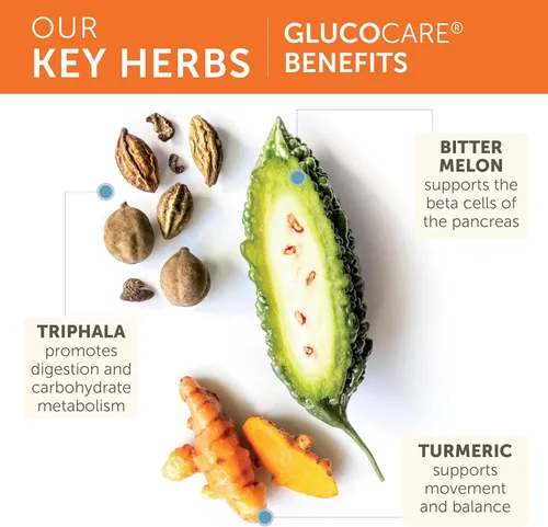 Vista 4 de Himalaya GlucoCare - Metabolismo de la glucosa a base de hierbas y apoyo pancreático con melón amargo, gimnasia, trifala y cúrcuma - Soporte natural
