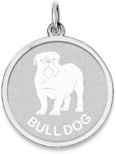 Vista 8 de Collar de plata de ley 925 con dije de disco de perro toro, joyería fina para mujer, regalos para ella, Plata esterlina