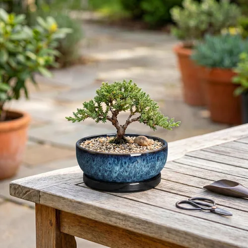 Vista 4 de Succulent Pots, 6 Inch Ceramic Bonsai Pots with Saucer, Blue