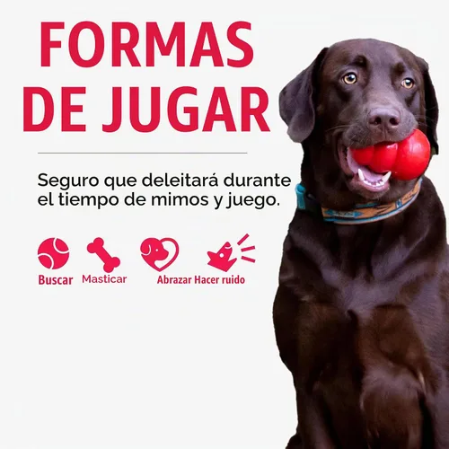 Vista 5 de KONG Ali Alligator Cozie - Juguete para perro, pequeño