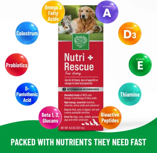Vista 5 de Small Pet Select Nutri-Rescue (nutrición rápida para mantener el tracto gastrointestinal en movimiento) (8 onzas líquidas)
