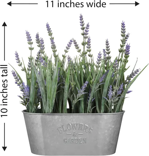 Vista 4 de Haute Decor Lavanda de 10 pulgadas en maceta de metal galvanizado