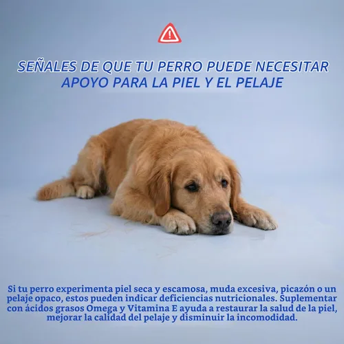 Vista 4 de Aceite de pescado Omega 3 para perros, 120 tabletas masticables - con Omega 3, 6 y 9, vitamina E para el desprendimiento de perros, picazón, piel