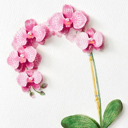 Vista 4 de Tarjeta de cumpleaños Hallmark Signature para ella (Orquídea)