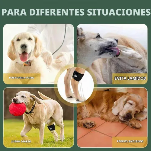Vista 5 de Soporte de pierna trasera para perro