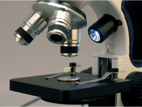 Vista 4 de AmScope Microscopio monocular compuesto de M149C-2L-E Digitaces, cámara