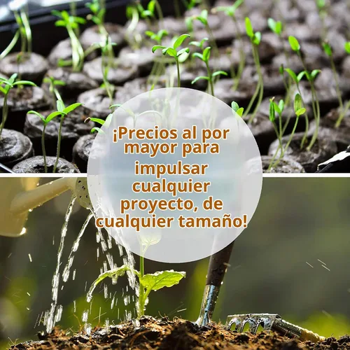 Vista 3 de Sustainable Seed Co Semillas de berro orgánico 0.04 oz ~ 780 semillas
