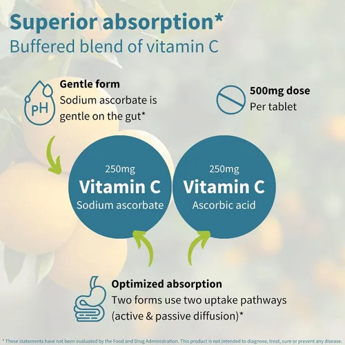 Vista 3 de Igennus - Vitamina C suave tamponada masticable 250-500 mg, niños y adultos, absorción optimizada con ascorbato de sodio y ácido ascórbico, sin