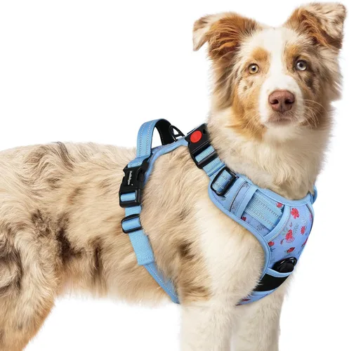 Vista 32 de Rabbitgoo - Arnés para perro de tamaño pequeño, arnés para mascotas sin tirones con 3 hebillas, chaleco acolchado suave ajustable con mango