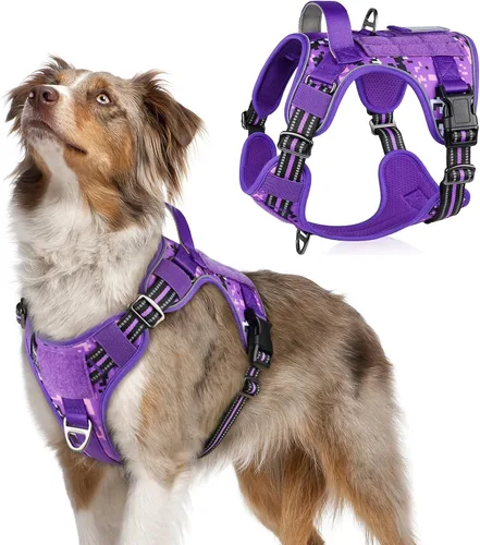 Vista 23 de rabbitgoo Arnés táctico para perros pequeños, chaleco de servicio militar sin tirones con asa y Molle, de fácil control para entrenar y caminar