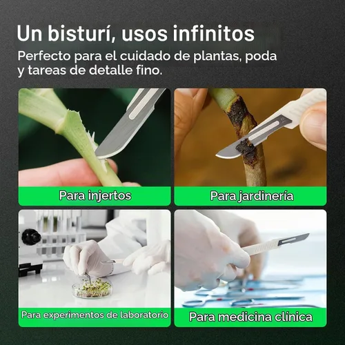 Vista 7 de VIVOSUN Cuchillas de acero de alto carbono #10 para plantas de corte