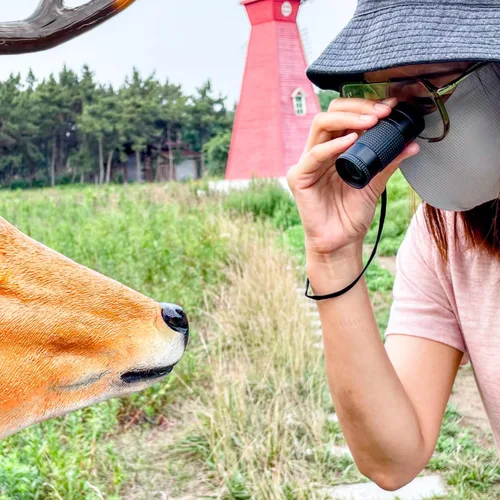 Vista 6 de Monocular de primer plano diseñado para usuarios de baja visión que tienen discapacidad visual. Monoculares de aumento de tamaño mini para visión a