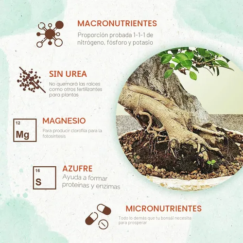 Vista 3 de Fertilizante para bonsái, pellets suaves de liberación lenta para plantas, ideal para todas las plantas de árboles bonsái de interior y exterior