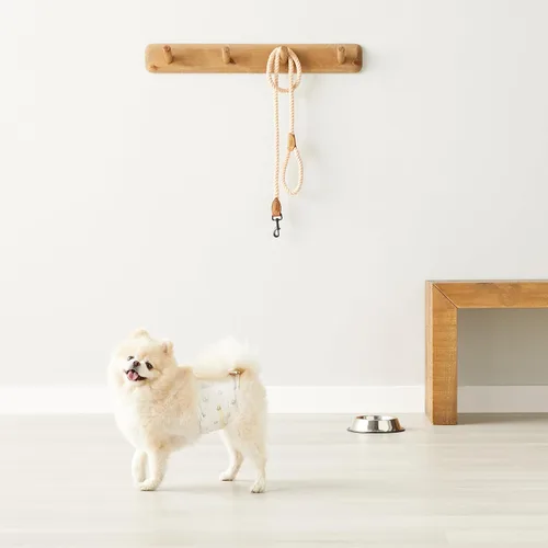 Vista 7 de Amazon Basics Pañales para perros machos, 30 unidades, XS, ultra absorbentes, desechables, con ajuste seguro, a prueba de fugas y cómodos
