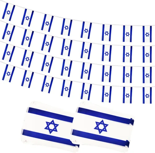 Vista 22 de Bandera de Cuerda Argentina de 100 Pies, 76 Piezas Bandera Estandarte Argentina, Pequeñas Mini Banderas del Mundo para Eventos Deportivos