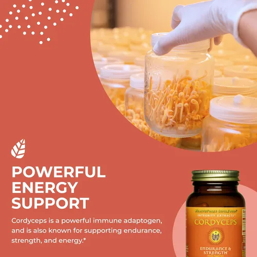 Vista 4 de HEALTHFORCE SUPERFOODS Integrity Extracts Cordyceps - Cápsulas - 90 Cápsulas Veganas