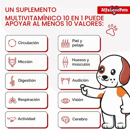 Vista 2 de Multivitamínico líquido para perros – Multivitaminas para gatos de interior – 10 en 1 vitaminas líquidas para perros complejo B, C, D3 – Digestión