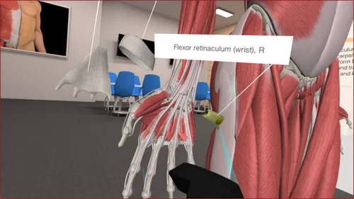 Vista 7 de 3D Organon VR Anatomy - Instant Access