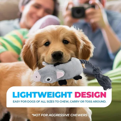 Vista 6 de ALL FOR PAWS Juguete ultrasónico silencioso para cachorros, juguetes cómodos para perros de peluche