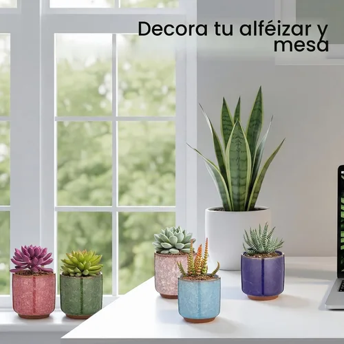 Vista 6 de Paquete de 12 macetas pequeñas de cerámica para suculentas