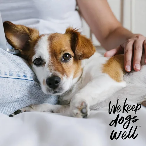 Vista 6 de DOGSWELL Remedy + Recovery Loción de hidrocortisona al 0.5% para perros, 4 onzas (el embalaje puede variar)