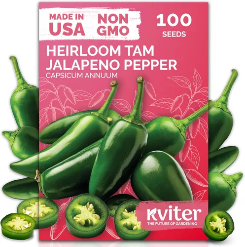 Vista 15 de KVITER 50 semillas de calabaza de azúcar orgánicas (Cucurbita Pepo) – Semilla de calabaza pequeña reliquia, carne dulce de grano fino para enlatar