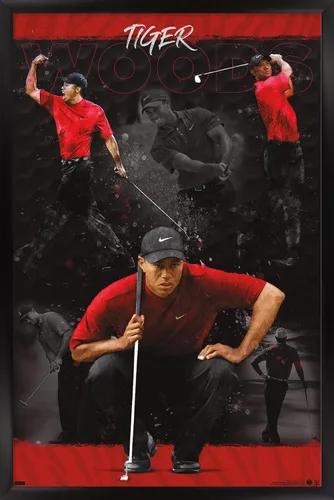 Vista 8 de Trends International Tiger Woods - Póster de pared de bosquejo, 14.725 x 22.375 pulgadas, versión enmarcada de madera de granero