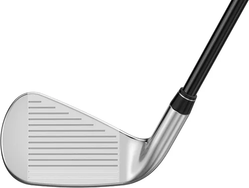 Vista 3 de Callaway Golf Great Big Bertha - Plancha individual