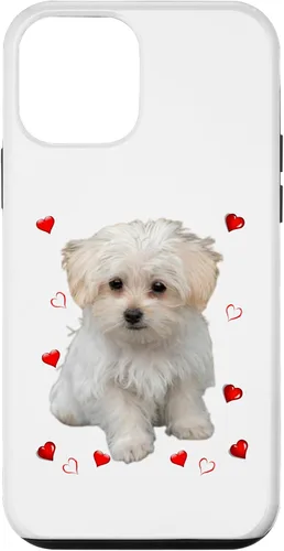 Vista 15 de Funda para iPhone 11 Maltipoo Mix Fans para amantes de los perros maltés