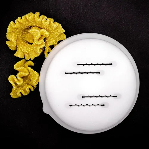 Vista 13 de Discos en forma de pasta Casarecce aptos para máquina automática de pasta y fideos Philips, accesorios para hacer pasta, electrodomésticos