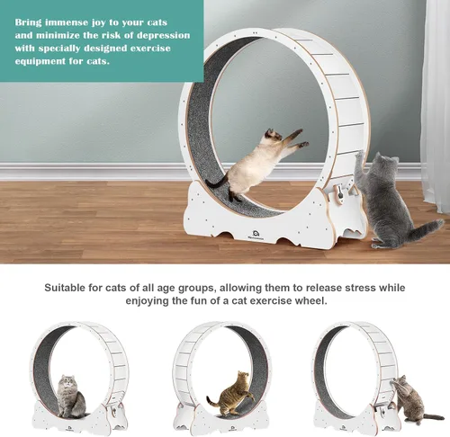Vista 7 de Rueda para gatos, 53 pulgadas XXL grande con alfombra desmontable para gatos de interior Blanco