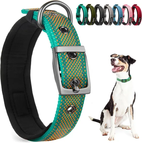 Vista 8 de PetiFine Collares para perros pequeños, collar acolchado de neopreno, collares reflectantes resistentes para mascotas con hebilla de cinturón