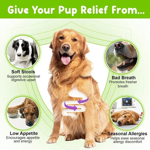 Vista 3 de Probióticos para perros, probióticos líquidos para perros, enzimas prebióticas y digestivas, suplemento de probióticos para perros que ayudan a