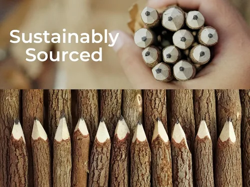 Vista 7 de BSIRI Paquete de 12 lápices de madera negra de 3 pulgadas con diseño de corteza de árbol en lápices de ramitas rústicas de madera, regalos únicos