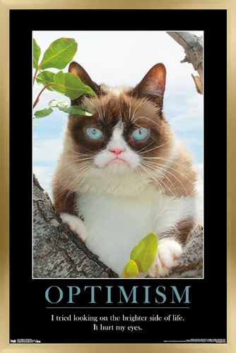 Vista 20 de Trends International Grumpy Cat - El Lado Más Brillante Póster de Pared, 14.725 x 22.375 pulgadas, Versión Enmarcada de Madera de Granero