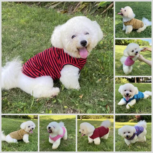 Vista 4 de Camisas para perros Camisetas de algodón a rayas, chaleco básico transpirable Camiseta elástica sin mangas para cachorros y gatos, algodón