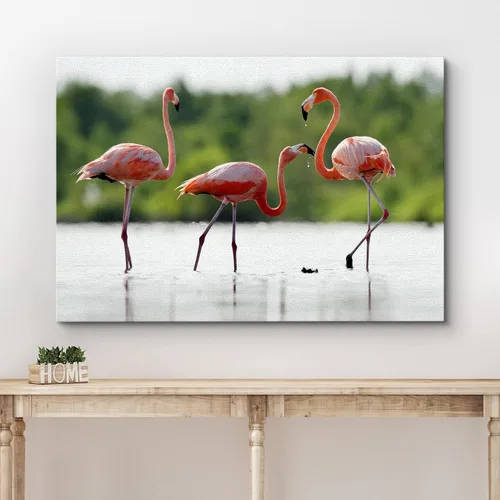 Vista 3 de wall26 Lienzo impreso para pared, trío de flamencos caribeños rosados en estanque, animales, fotografía, arte moderno, tropical, escénico
