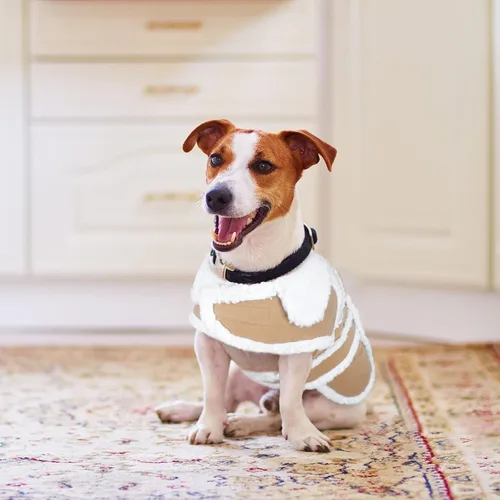 Vista 6 de BWOGUE Abrigo de invierno para perros pequeños, chaqueta de forro polar para perros de razas pequeñas a medianas