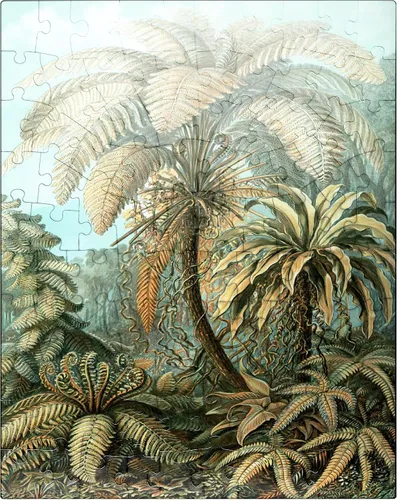 Vista 8 de MyPuzzle Fern (Filicinae) - Formas de arte en la naturaleza, póster de arte vintage, Ernst Haeckel - Rompecabezas prémium de 1000 piezas para adultos