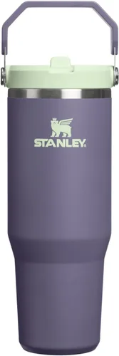 Vista 92 de STANLEY IceFlow 2.0 - Vaso con pajita, 14 onzas, color verde primavera