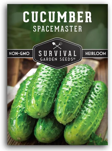 Vista 12 de Semillas de pepino Spacemaster para plantar Variedad compacta autóctona sin OMG para jardines de espacios pequeños – Semillas de jardín